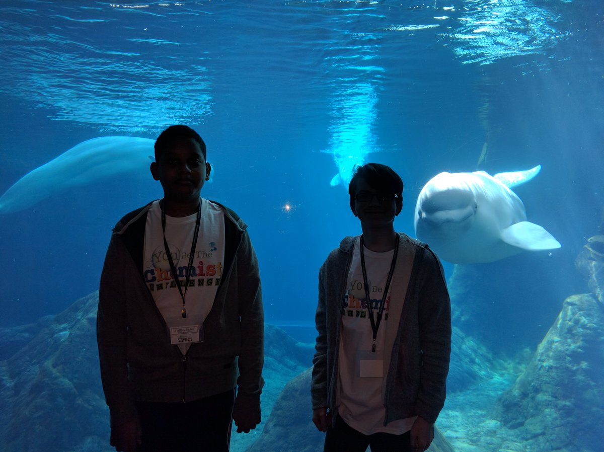 HRJBell's tweet image. You be the chemist competition #cobbscience # stemcobb #cobbstem