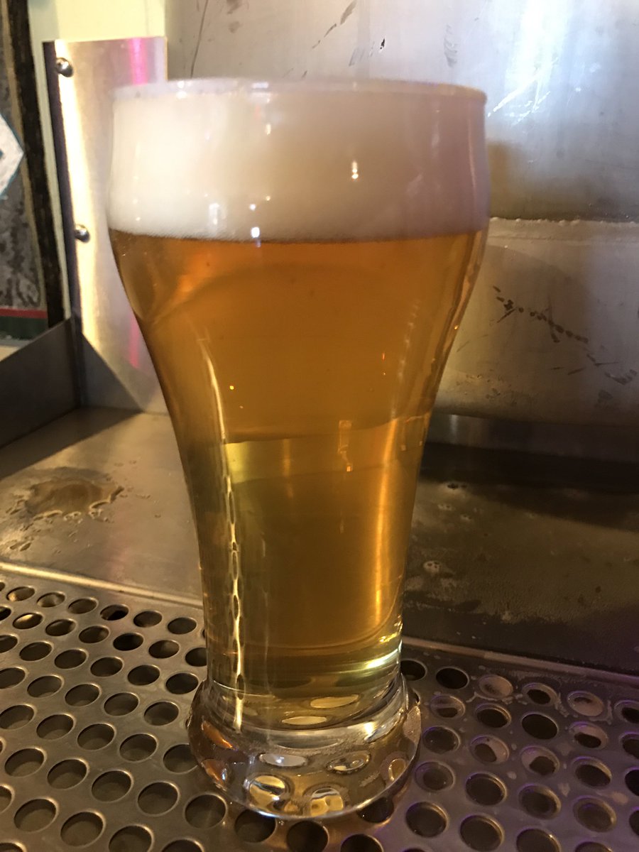 MBCraftBeer's tweet photo. Come drink non-green beer!! #DirtyMyrtle #MyrtleBeach #CraftBeer #FuckGreenBeer https://t.co/mrMaDtg3lg