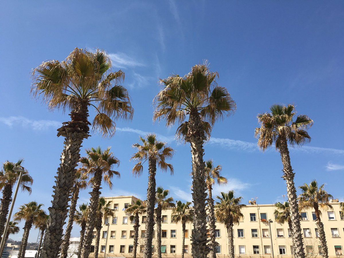 handtseries's tweet photo. Warm sunny days call for tacos by the beach! #htxbcn #barcelona #visitspain https://t.co/oJRXr0cz8i