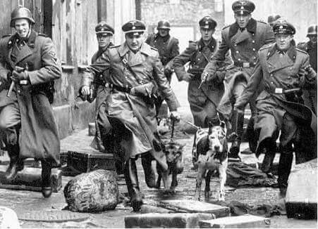 nesli_Osmanli's tweet photo. 1940 ve 2017 #Nazi artığı deyince hopladı deyyuslar. Fark  ne?
#EvetAvrupaTitriyor
#HollandadanNaziUygulaması
#RacistandFascistNetherland https://t.co/NxOqSRhS10