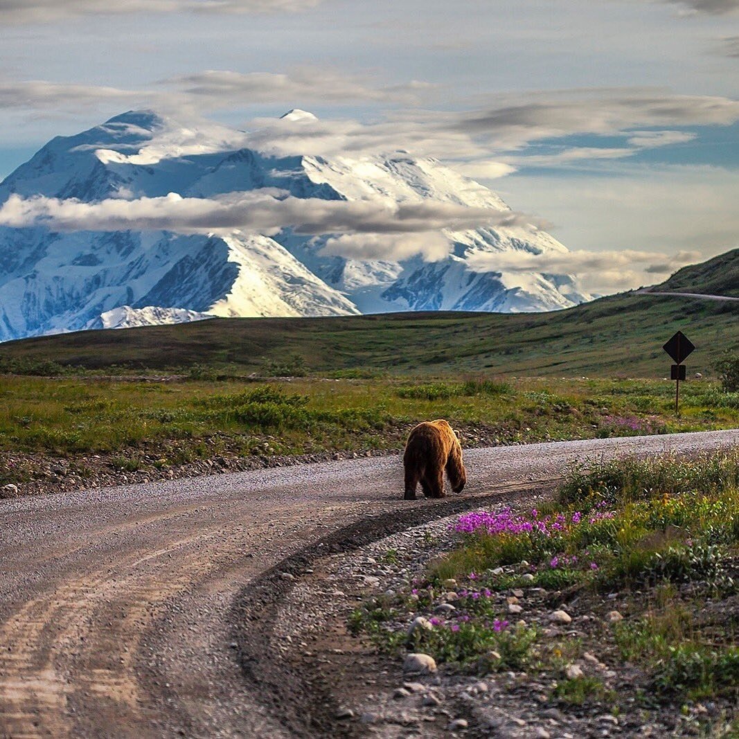 .

가끔
폭풍,  안개,  눈이
널 괴롭힐 거야.

그럴 때마다 
너보다 먼저

그 길을 갔던 사람들을 생각해봐.

그리고 이렇게 말해봐.

그들이 할 수 있다면. .

' 나도 할 수 있어' 라고. .

          어린 왕자/생떽쥐베리

.