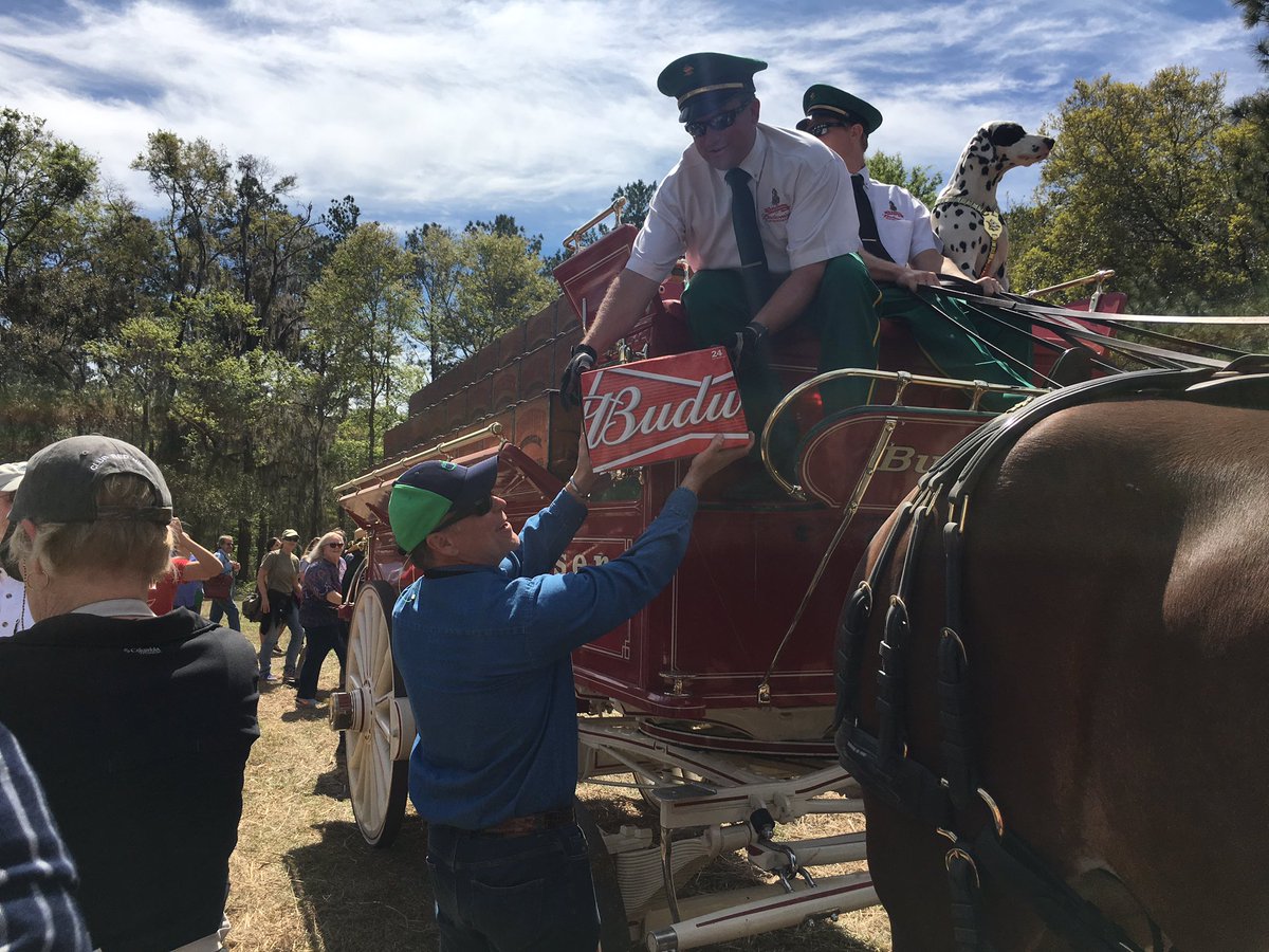 RedHillsHorseTrials tweet media