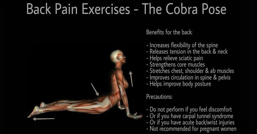Relieve your fatigue and #stress with the easy cobra pose ➡ ahealthblog.com/29bi