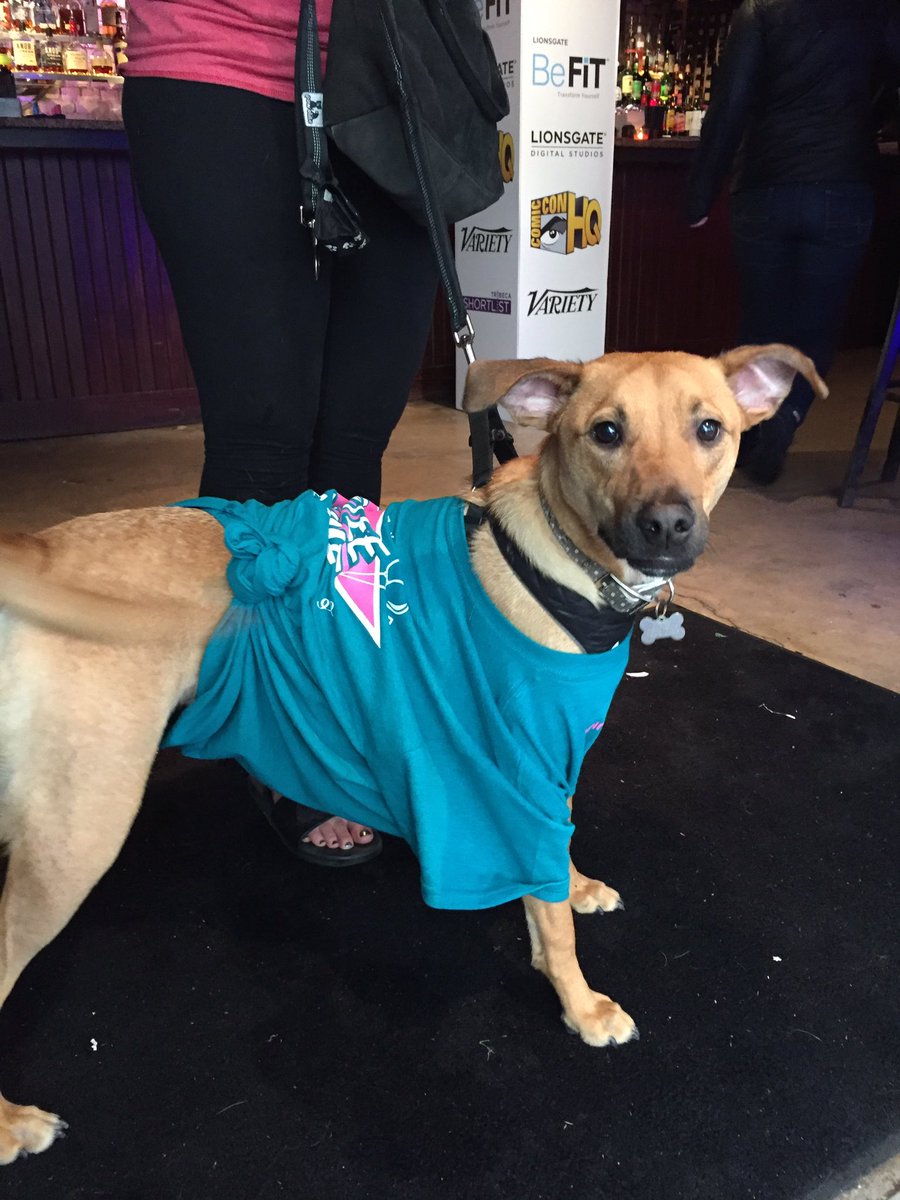 This puppy comes prepared. 🐶🍻 Tune into the #Dirty30Movie Facebook page at 2 PM CT for the live Holy Trinity panel! #SXSW