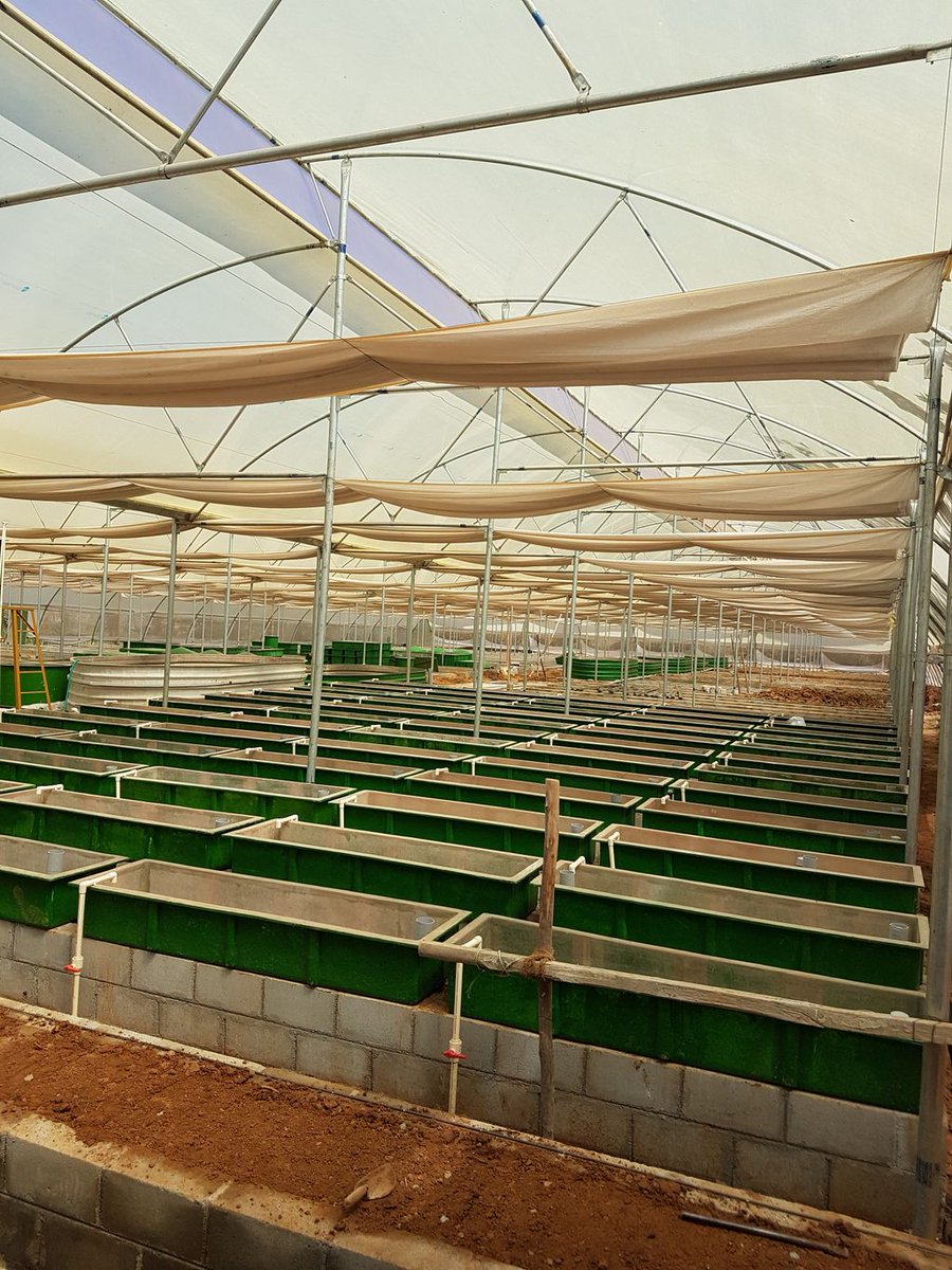 aquaponics farm in bangalore - aquaponic