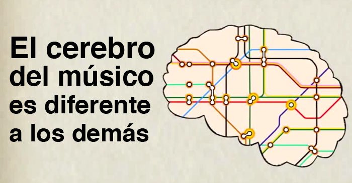 El cerebro de los músicos es diferente a los demás dlvr.it/Nbqgns