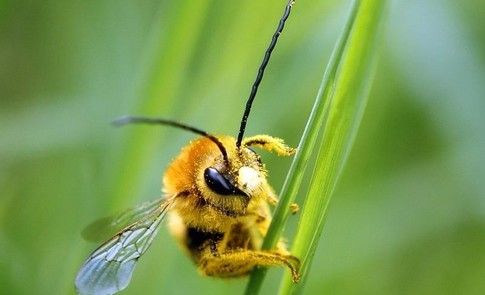 World Economic Forum tweet media