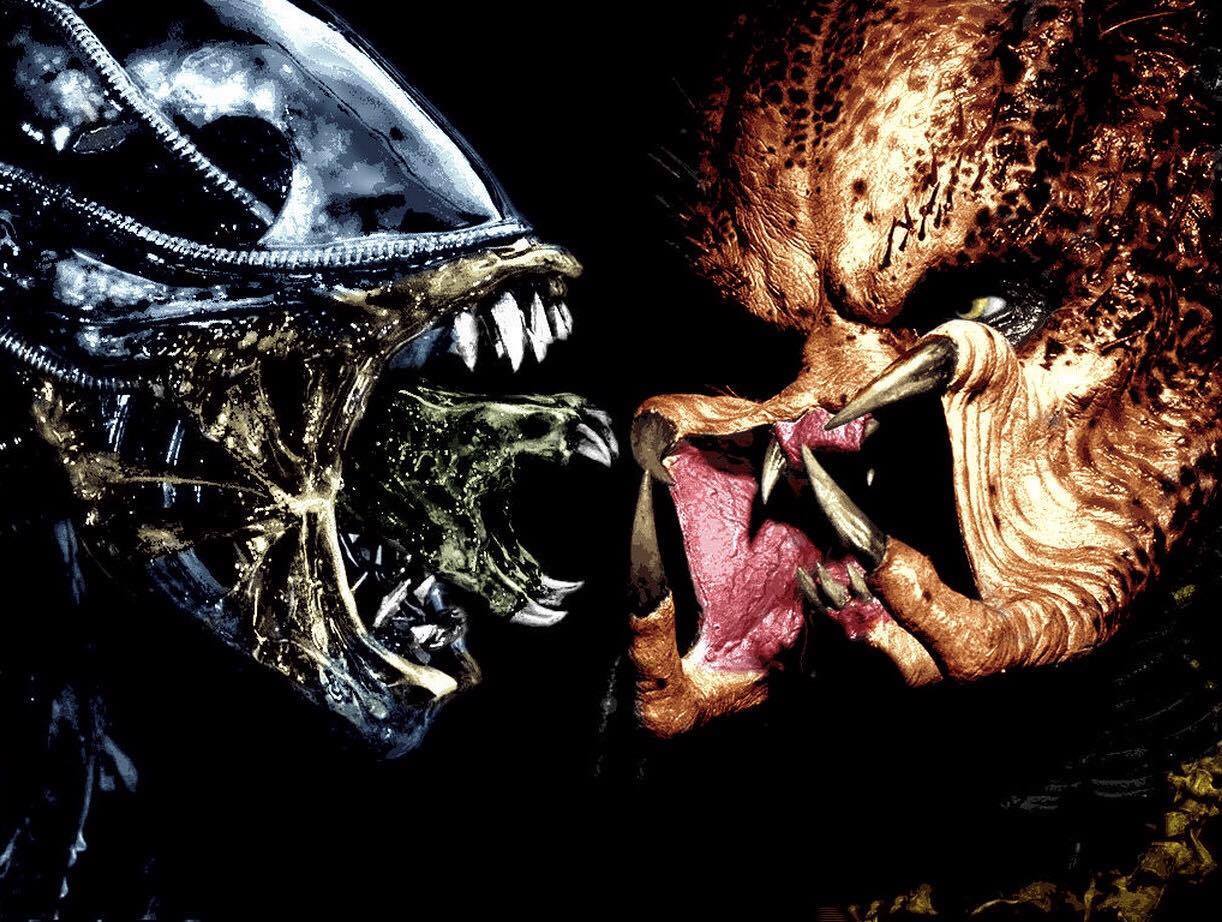 44+] Alien vs Predator HD Wallpapers
