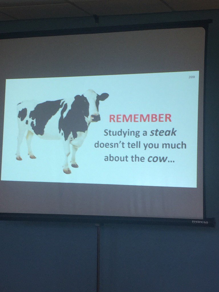 ShoulderGeek1's tweet photo. @AdamMeakins humour , entertainment, swearing and dispelling some myths #funcpd #moveit https://t.co/jDbXA7azJs