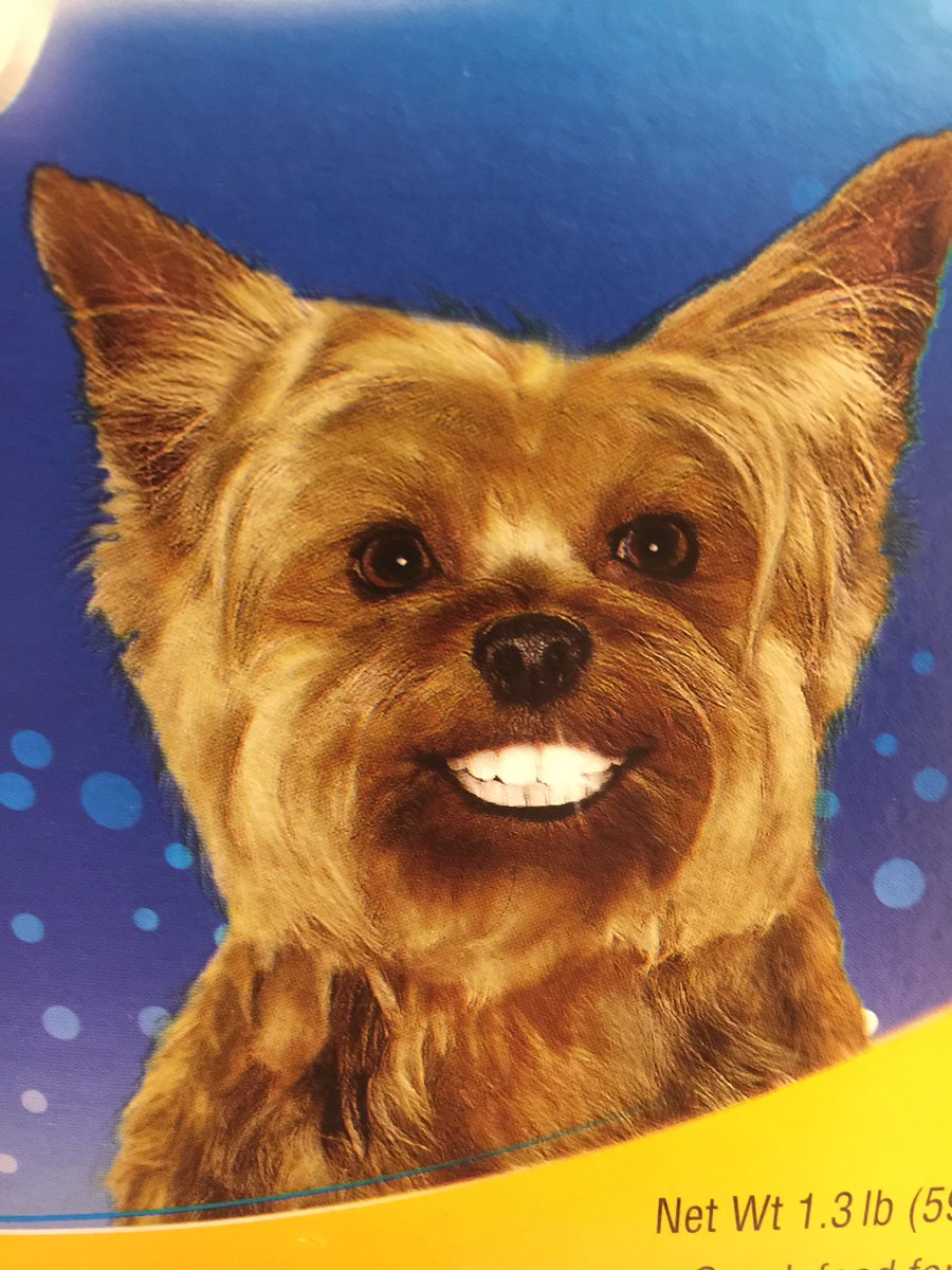 LinzeRice's tweet photo. This is indeed a disturbing universe #helpthisdog #dogsoftwitter https://t.co/tRI4eSjIxP