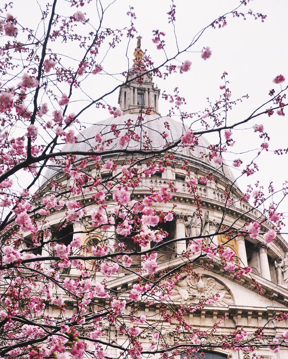 TimeOutLondon's tweet photo. 🌼🌸🌺 IT'S HAPPENING... (as seen on https://t.co/h0hnCtH32X) 🌺🌸🌼 https://t.co/PTraNSSfiO