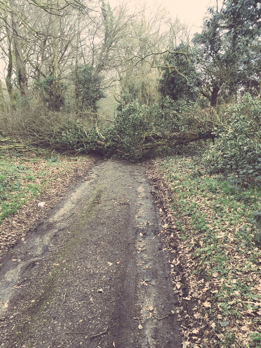 edsourgrapes's tweet photo. Nature 1:bike 0 https://t.co/Qz5AA0xIDP