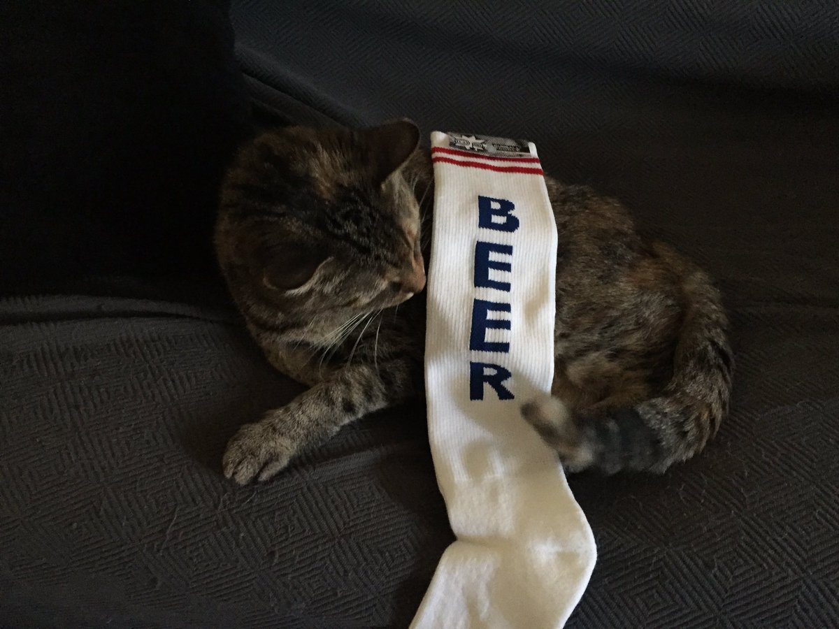 LucyFurTweets's tweet photo. I got my #beercat socks. Thx @KTM12XU 😺 https://t.co/woS1EIfZeS