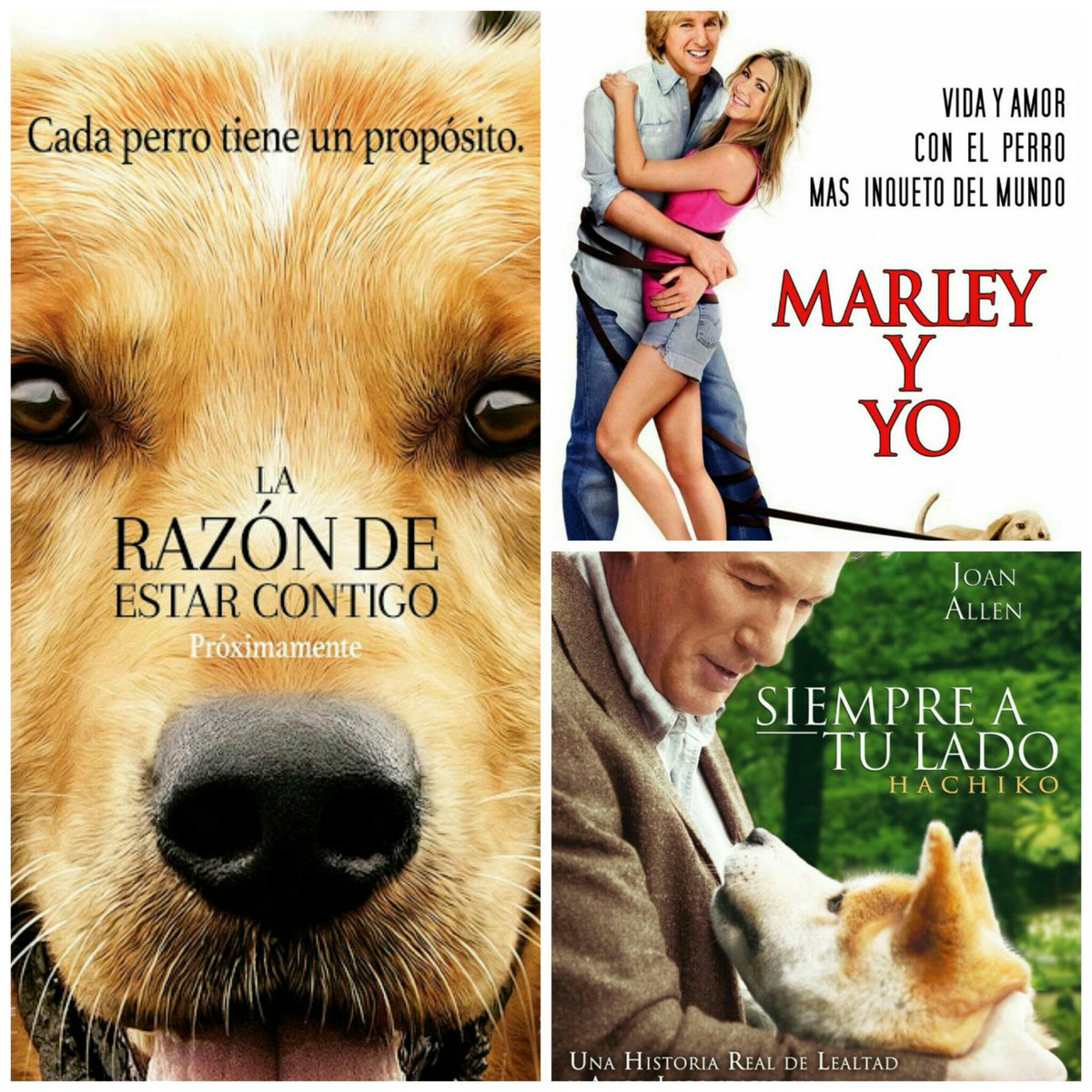 Tengo una PEQUEÑA debilidad a las películas de perros.