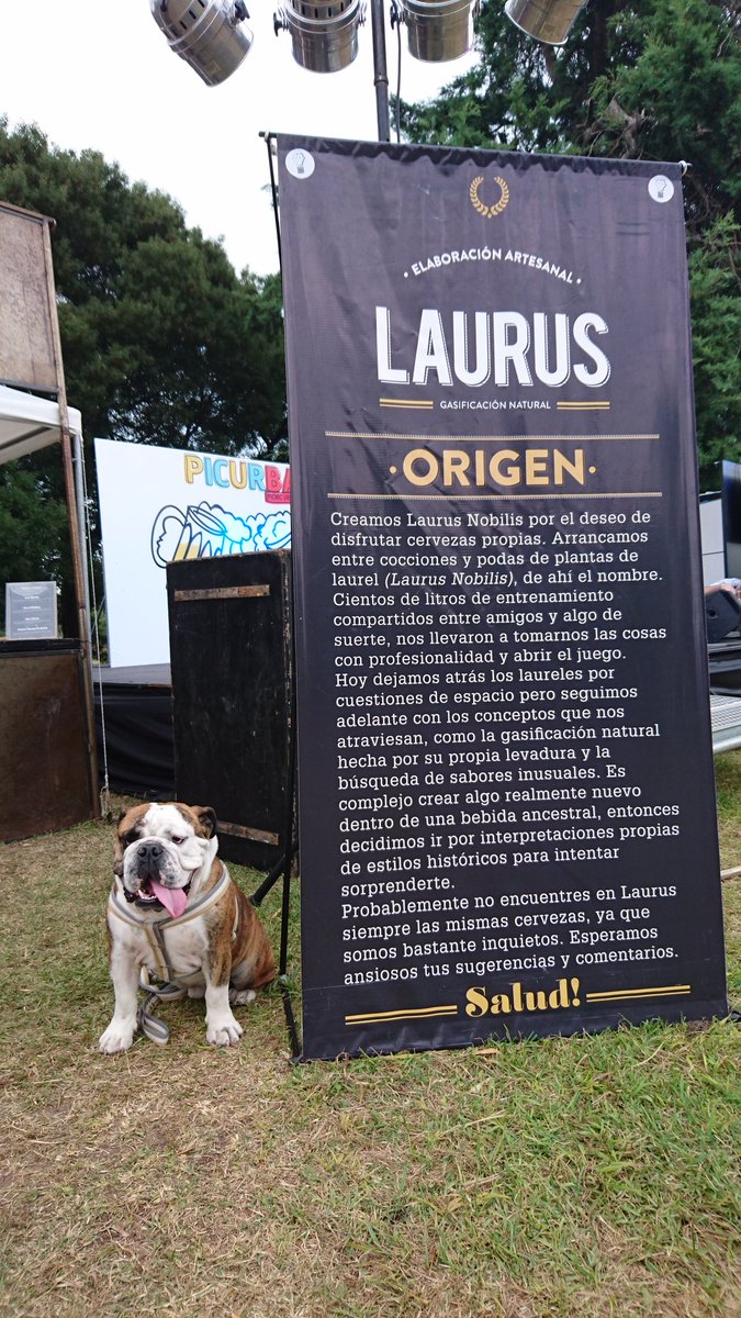 CervezaLaurus's tweet photo. Pasá por Picurba a tomarte una Laurus! Otto, el perro cervecero con mas onda te aconseja de estilos y maridajes sin agitarse. Salud! https://t.co/PiLvvxQiU0