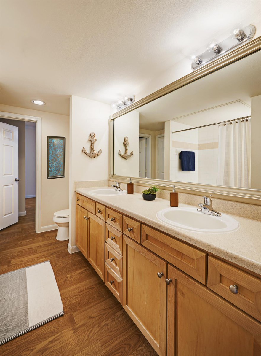 CamdenOakCrest's tweet photo. Looking for a spacious bathroom all to yourself? Look no further - check out our C floor plan! 281.920.0800 #LivingExcellence #HouApts https://t.co/W9LufKaMfG