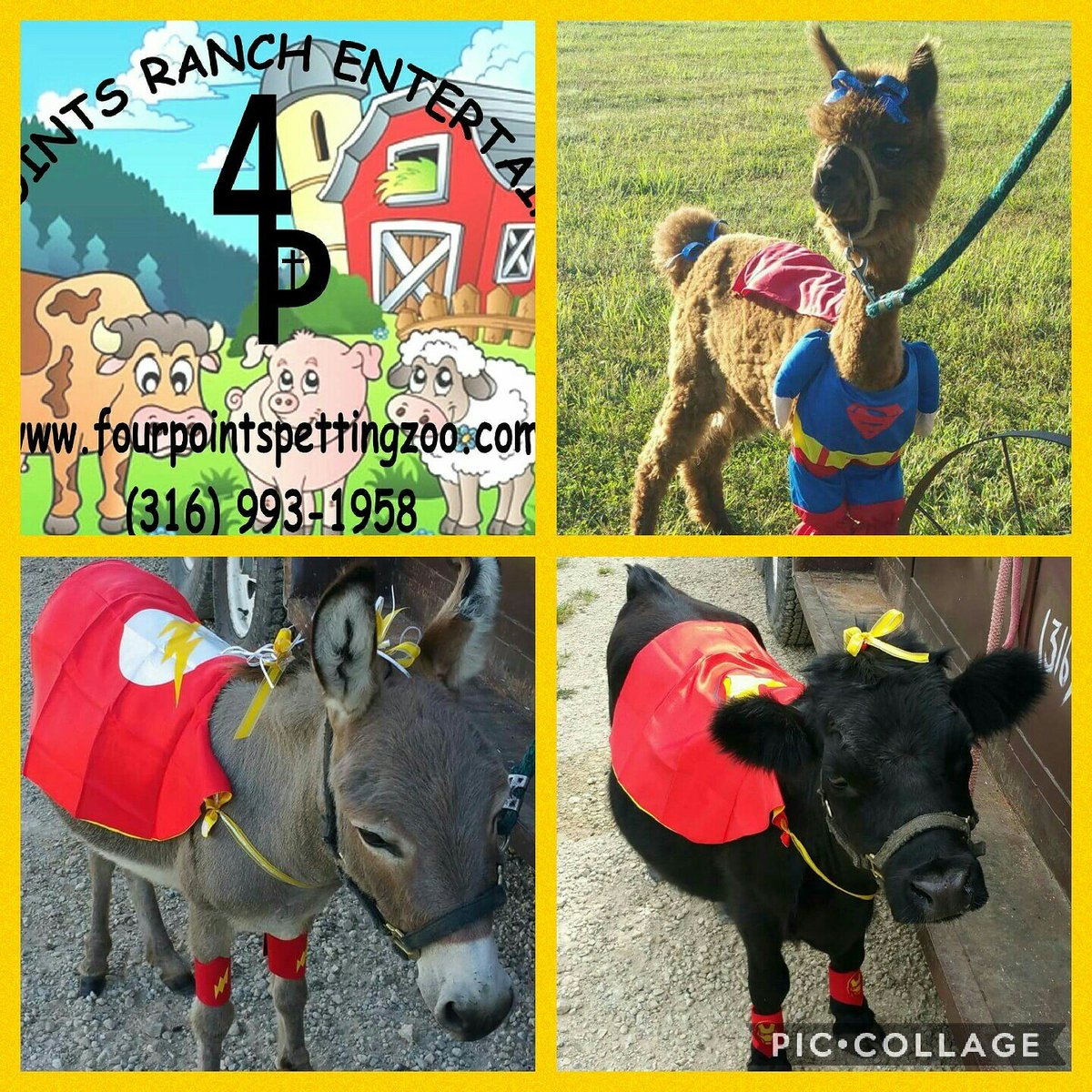 FourPointsRanch's tweet photo. For more party fun, add on the "Fundazzle us", Super Hero package to your petting zoo! It comes with 4 animals.
#wichitaks #moms #parties https://t.co/zhjvIBlQSJ