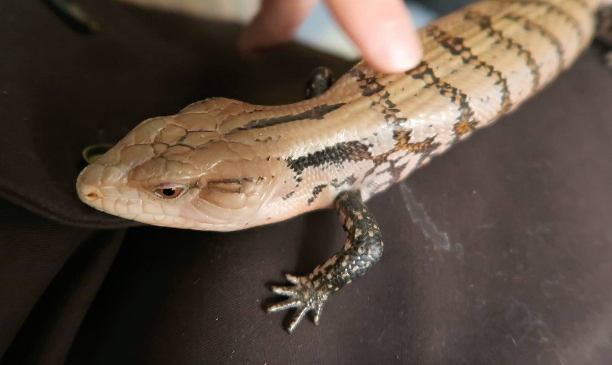 Tyler Rugge on Twitter: 