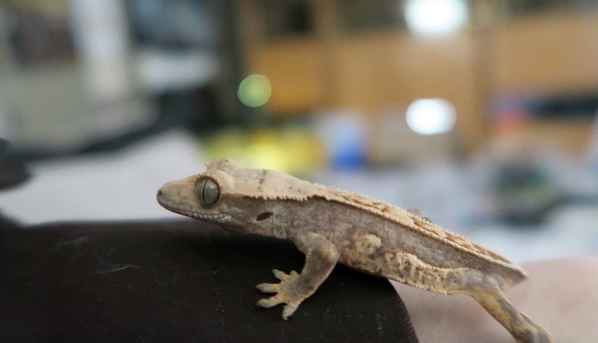 Tyler Rugge on Twitter: 