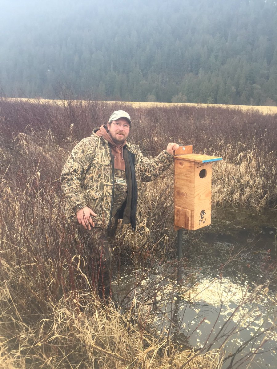 czarofbar's tweet photo. A newbie volunteer putting up his first duck box! #nestingday #woodduckboxes #pw #grassroots #volunteers https://t.co/o1RzAuWJX3