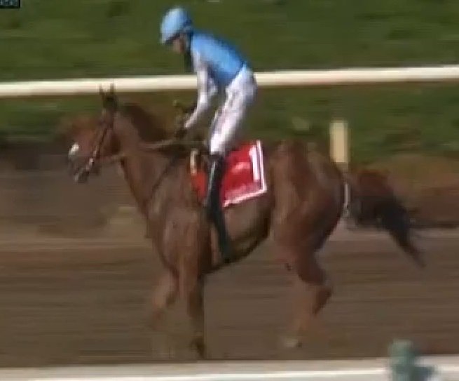 TwinSpires's tweet photo. 16-1 Denman’s Call outruns 1-2 favorite Masochistic to upset #TripleBend (G1) @santaanitapark under @TylerBaze for @DougONeill1 https://t.co/EIQIcVq9c8