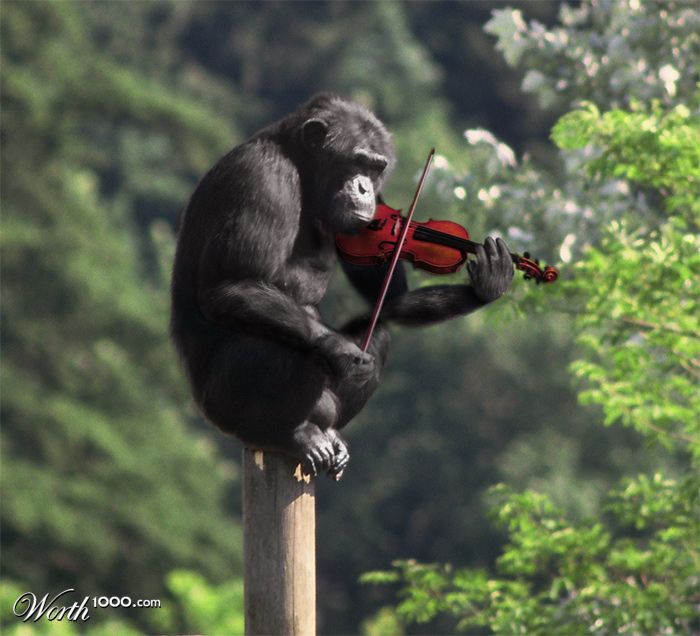 maxzorinmusic's tweet image. only monkeys practice fast without marking their music. Are you a monkey? #violin #efficientpractice #dontbeamonkey