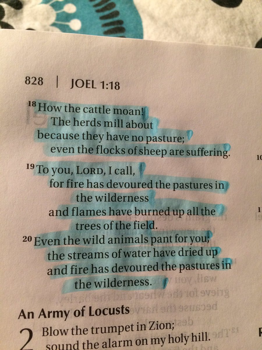 maci_berry's tweet photo. God be with us. #PanhandleStrong https://t.co/uE4637TSF7