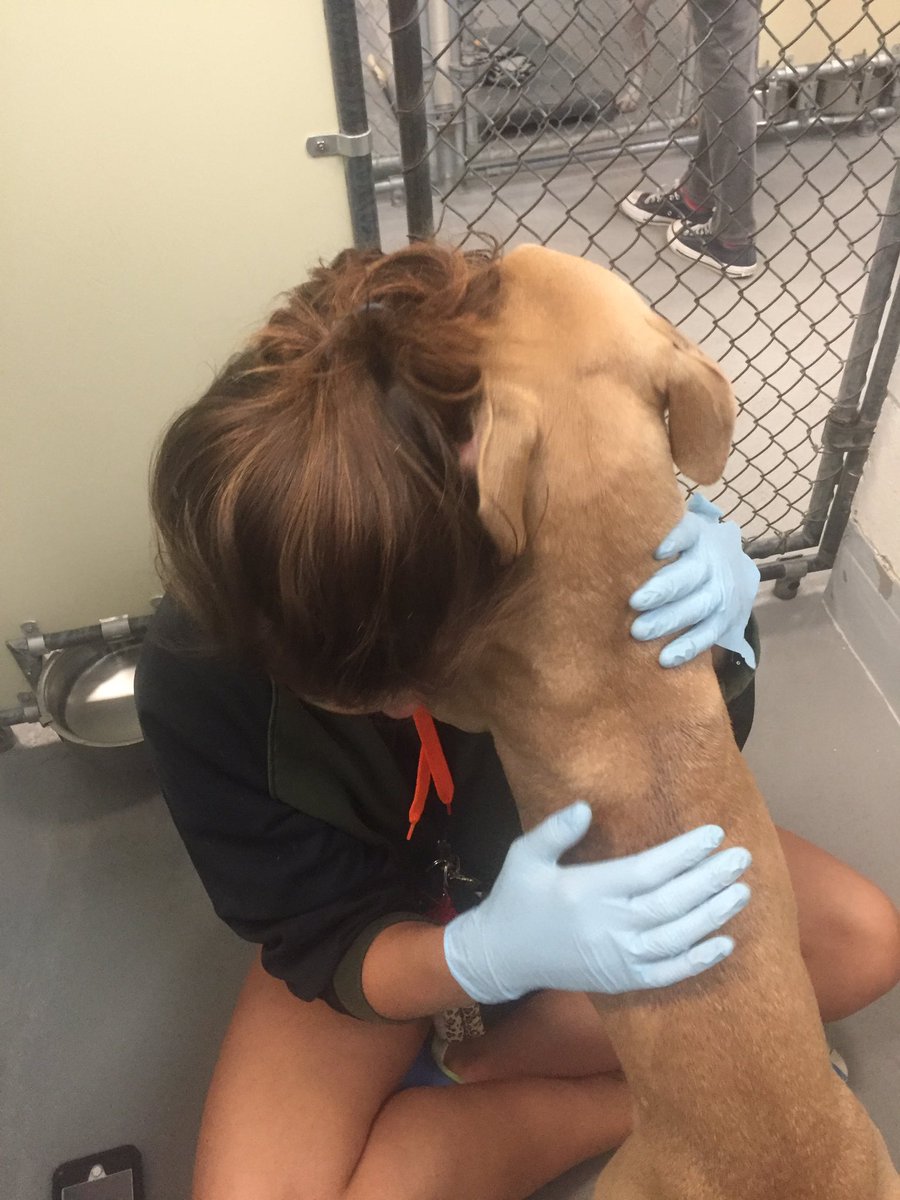 julieannepretty's tweet image. Went to the shelter to play with puppies today &amp;amp; saw this doggie being carried into a room to get euthanized.... I have a new dog now