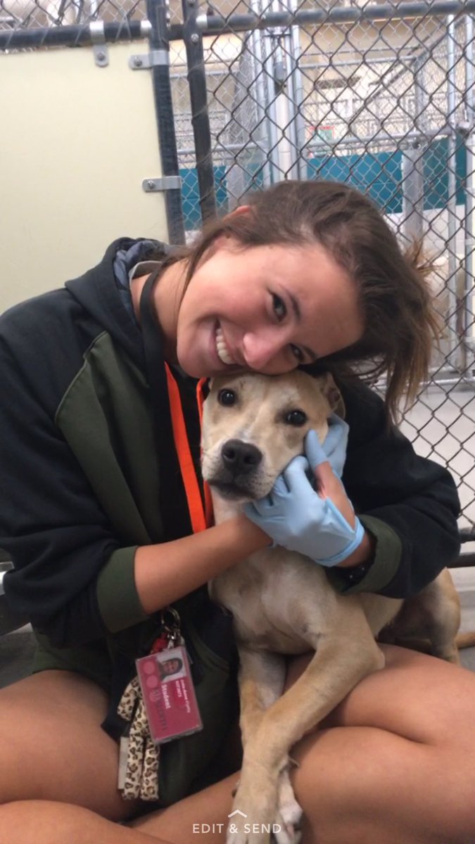 julieannepretty's tweet image. Went to the shelter to play with puppies today &amp;amp; saw this doggie being carried into a room to get euthanized.... I have a new dog now