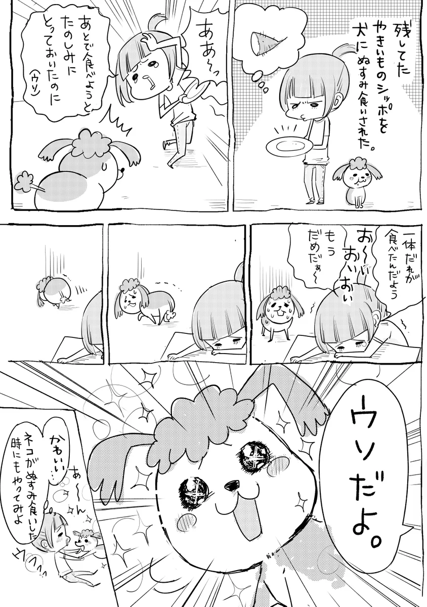 犬と猫飼ってる人ってこれが日常なのかｗｗ可愛すぎるあるあるが話題にｗｗ