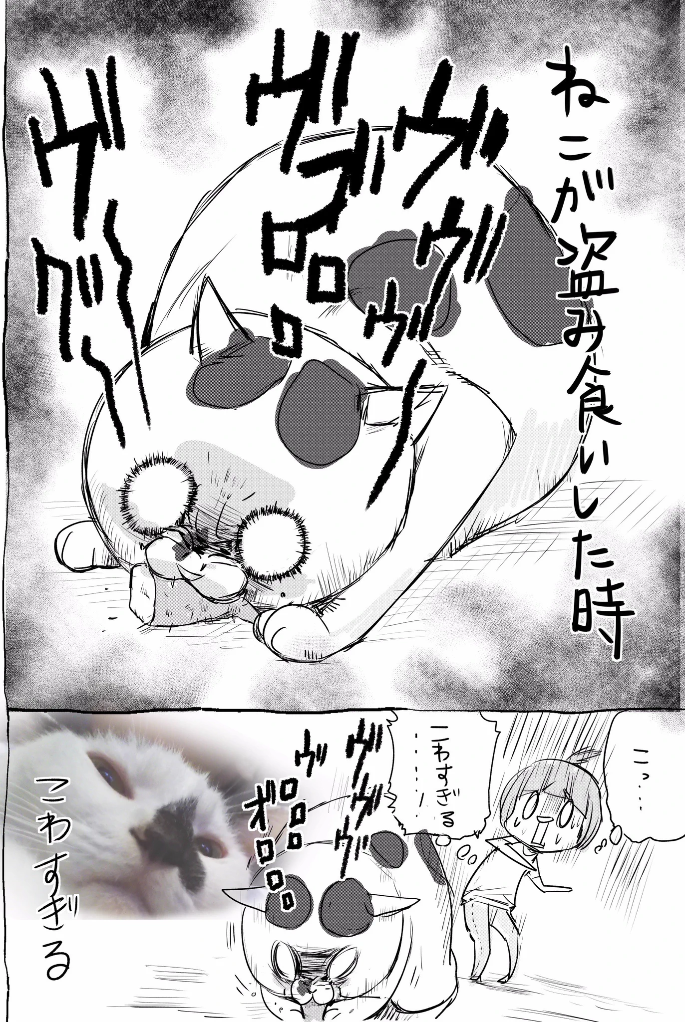 犬と猫飼ってる人ってこれが日常なのかｗｗ可愛すぎるあるあるが話題にｗｗ