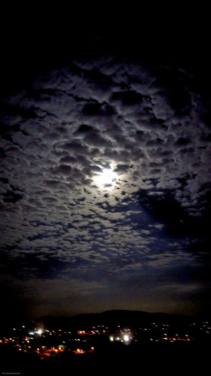 OmarAlfonsoPR's tweet image. Luna entretejida…
Yauco, #PuertoRico.