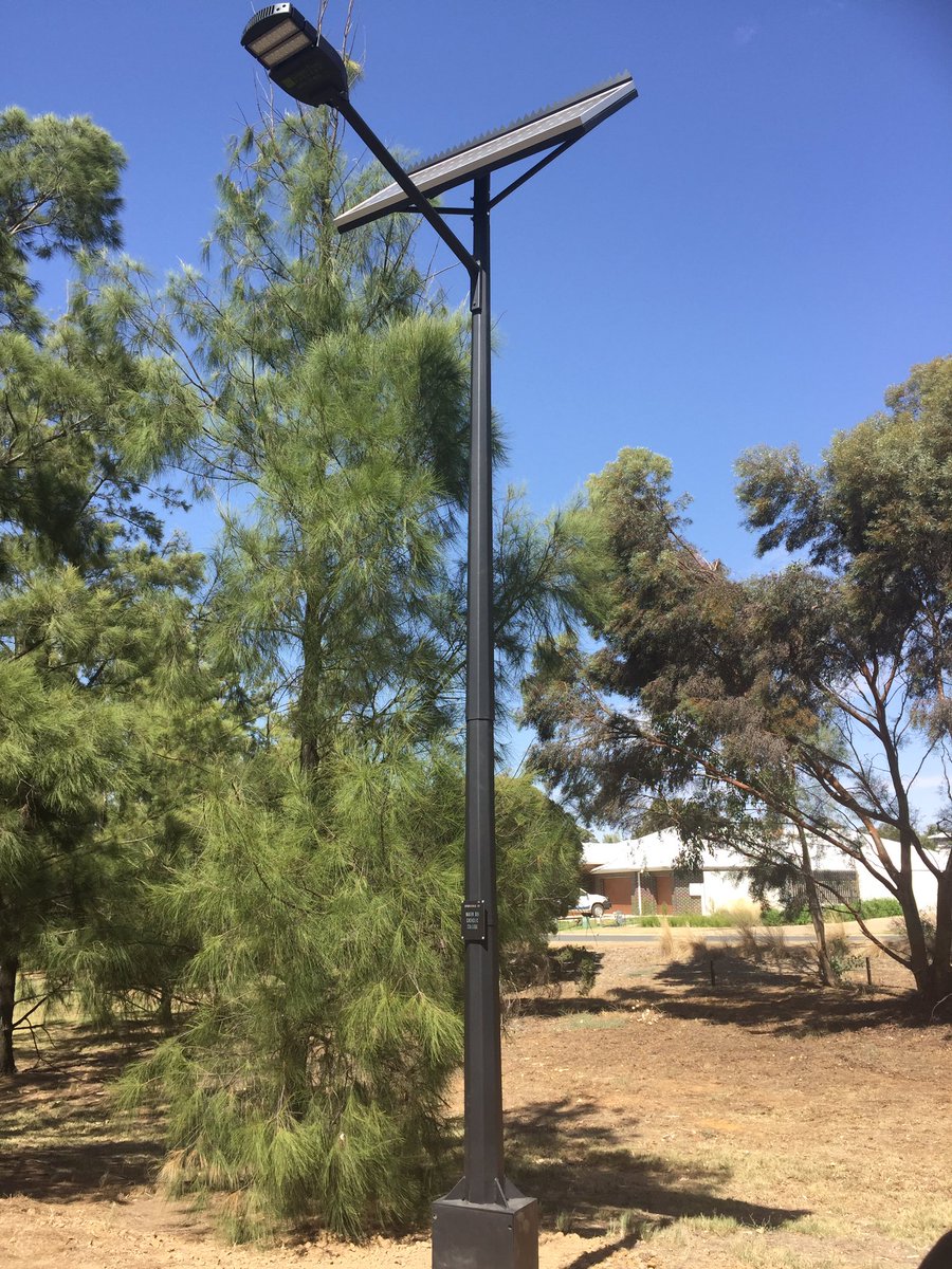 Mater Dei Wagga tweet media