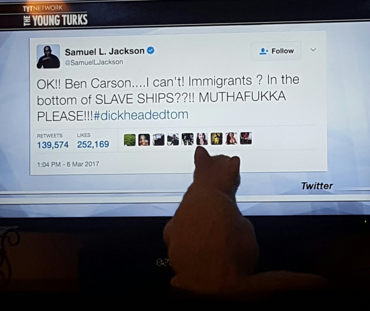CraftyMyers's tweet photo. #BenCarsonLogic #dickheadtom #icantkeepquiet #resist #RESISTANCE Sugar ain't havin' none of it! https://t.co/cEOfUqChyn