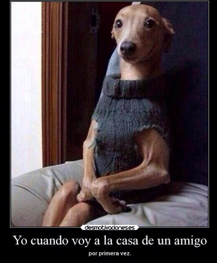 yFervazquez's tweet photo. 😬😂 https://t.co/FZALGxvHdI