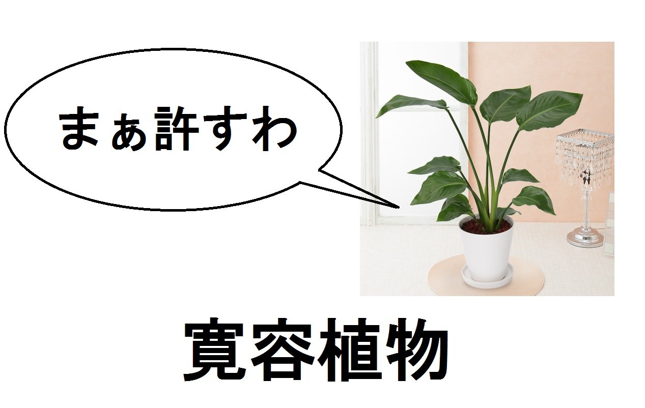 汎用性高すぎw観葉植物と加湿器の文字替えが秀逸すぎて笑える 話題の画像プラス 汎用性高すぎw観葉植物と加湿器の文字替えが秀逸すぎて笑える 話題の画像プラス
