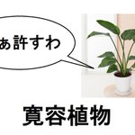 汎用性高すぎw観葉植物と加湿器の文字替えが秀逸すぎて笑える!