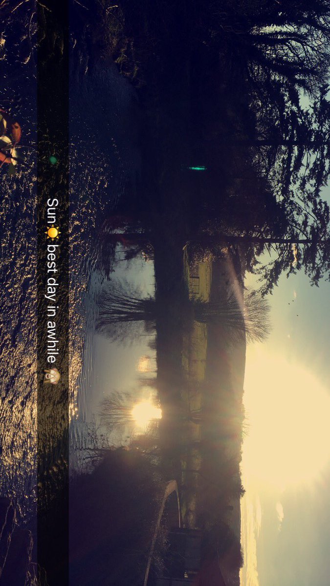 jadelyttle13's tweet image. 