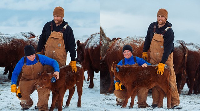 UFAcooperative's tweet image. Behind the scenes with camera-shy calf 717!
📷 cred: Tom Acton, #NewPathInfluence 
#AgProud #ABag