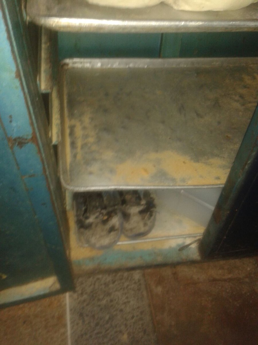 mepa_18's tweet image. Camaradas de la .@SACS_MERIDA sancionando establecimientos por insalubridad .@NicolasMaduro #Merida #TodoElPoderParaLosCLAP