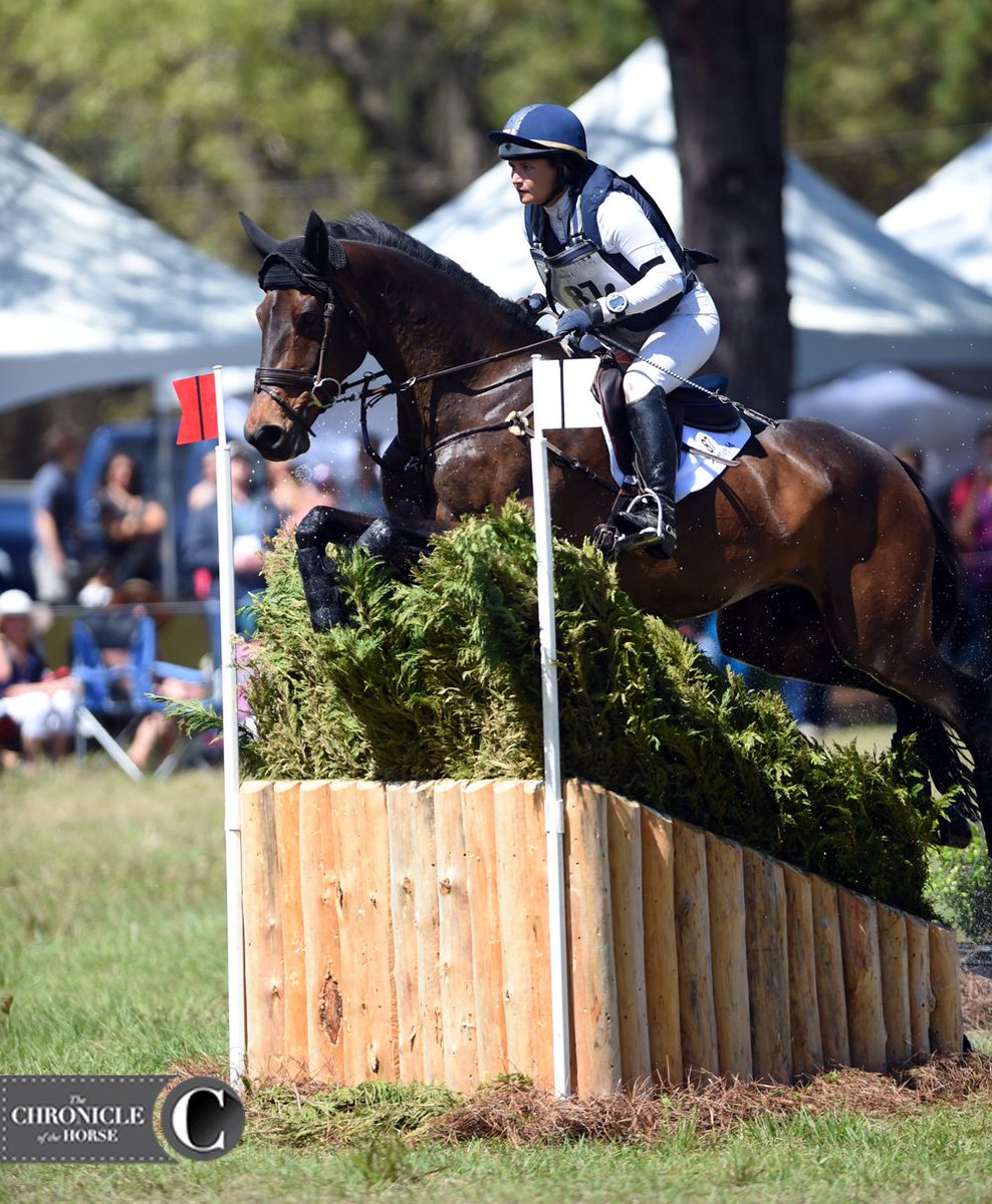 The Chronicle of the Horse tweet media