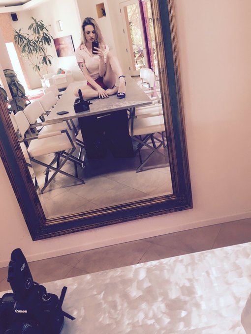 Sometimes I like to chill on tables and take selfies. https://t.co/WAuNxMglpW<a href="/tag/mvsales"class="tags"><span>#mvsales</span></a>