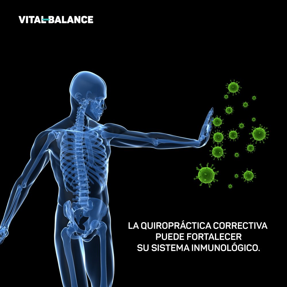 VBCabo's tweet photo. La Quiropráctica Correctiva puede fortalecer tu Sistema Inmunológico.
#Chiropractic #Physiotherapy #VitalBalanceCabo #LosCabos #Cabo https://t.co/nbfUQ5nSDM