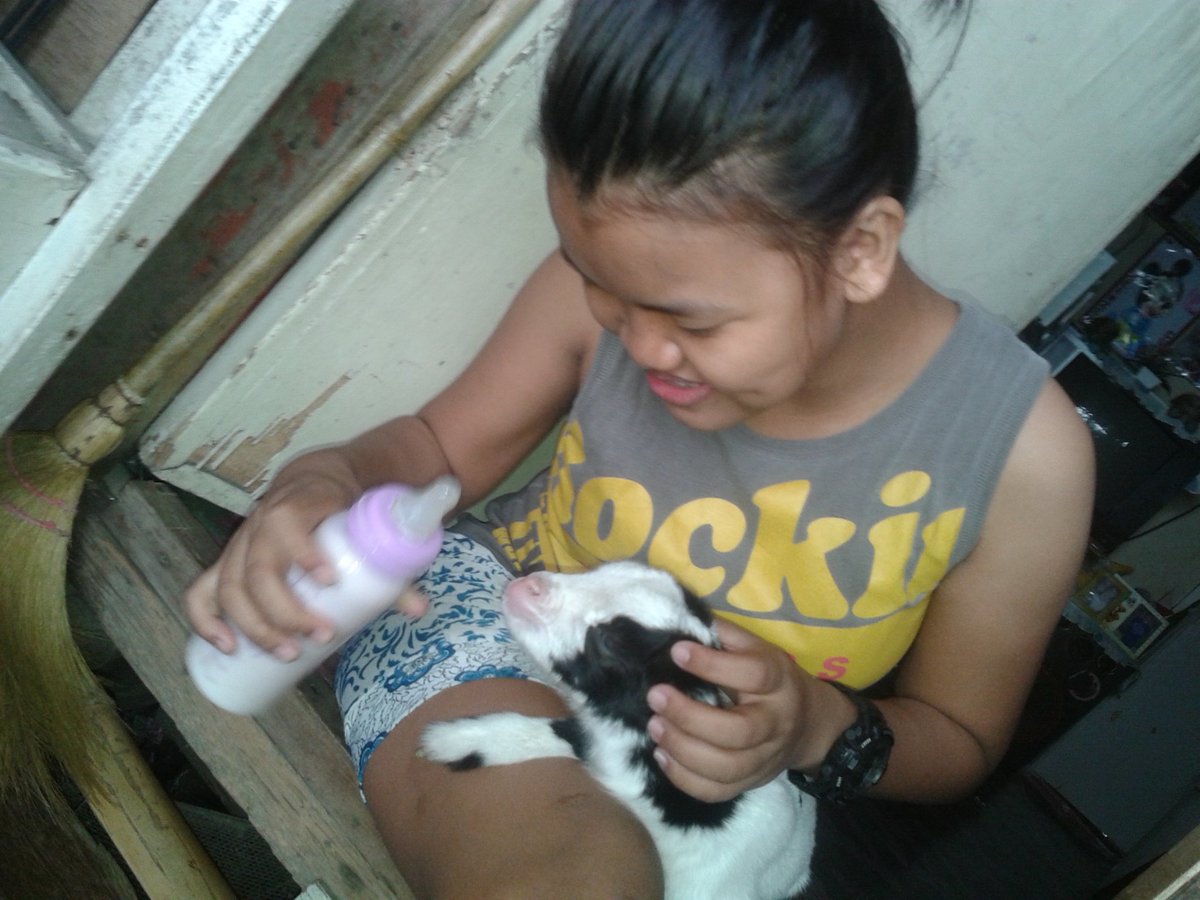BinnaCatips's tweet photo. Me Eee Meeeeee 
#Kambingiiing https://t.co/fUemFzRacF