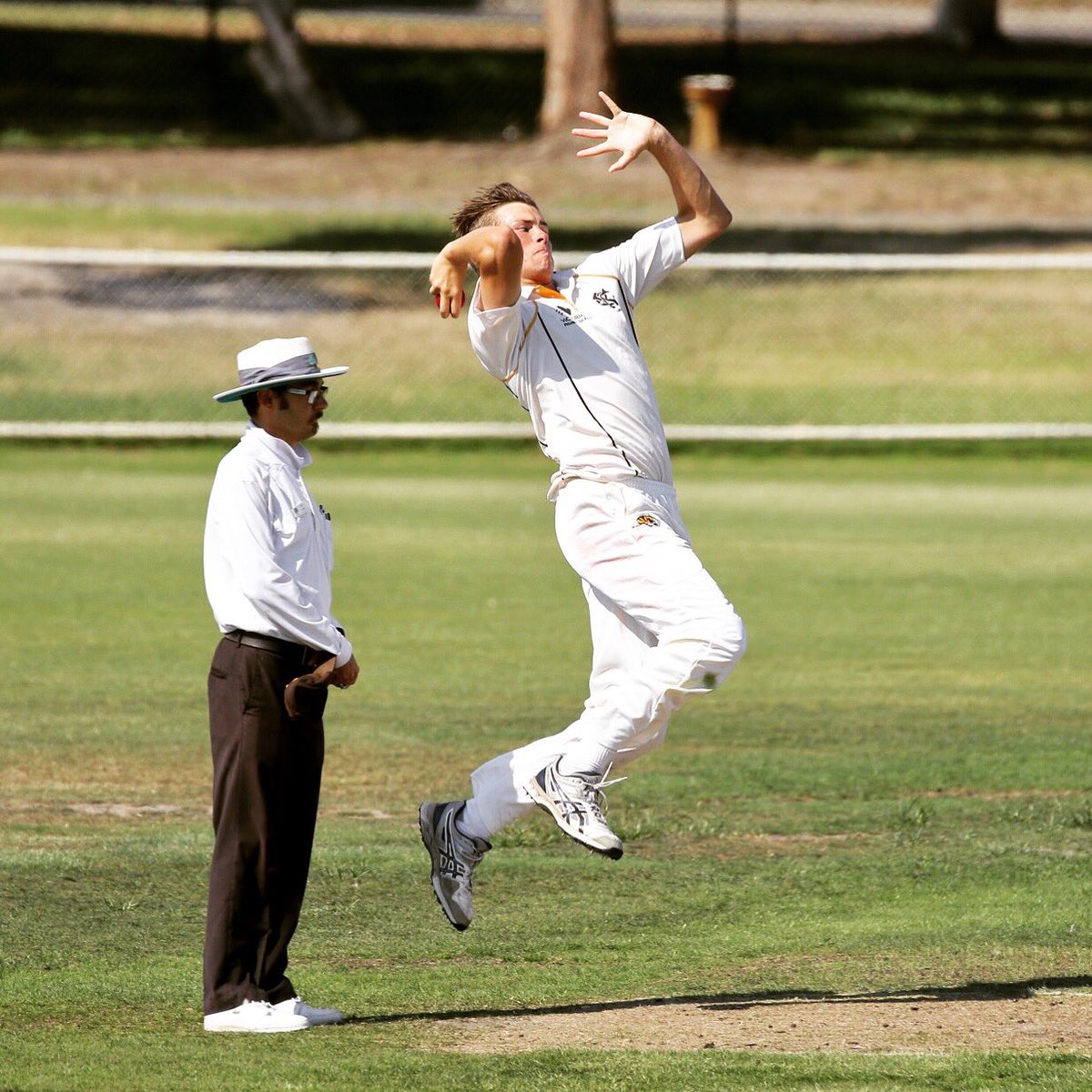 Jack Trevethan with a two wicket maiden, and the @MonashTigers 5XI are back in the game. Cobra's 7/113 (25). #cricket