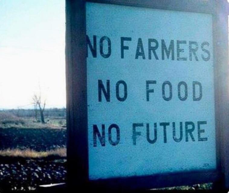 Plant a Seed tweet media