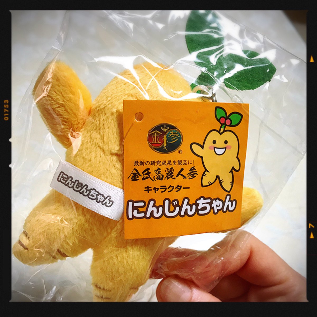 Twitter पर らむね にんじんちゃん 金氏高麗人参