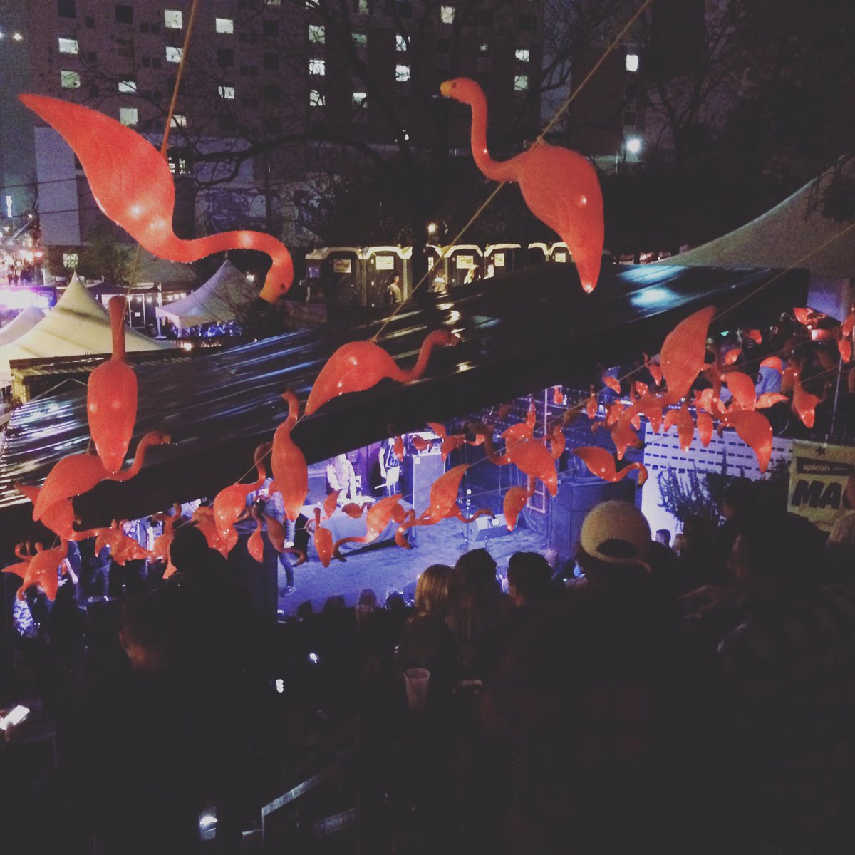 MedTechMarie's tweet photo. Rounding out first day @sxsw at Splash party...#flamingos! https://t.co/To4ayt3jWh