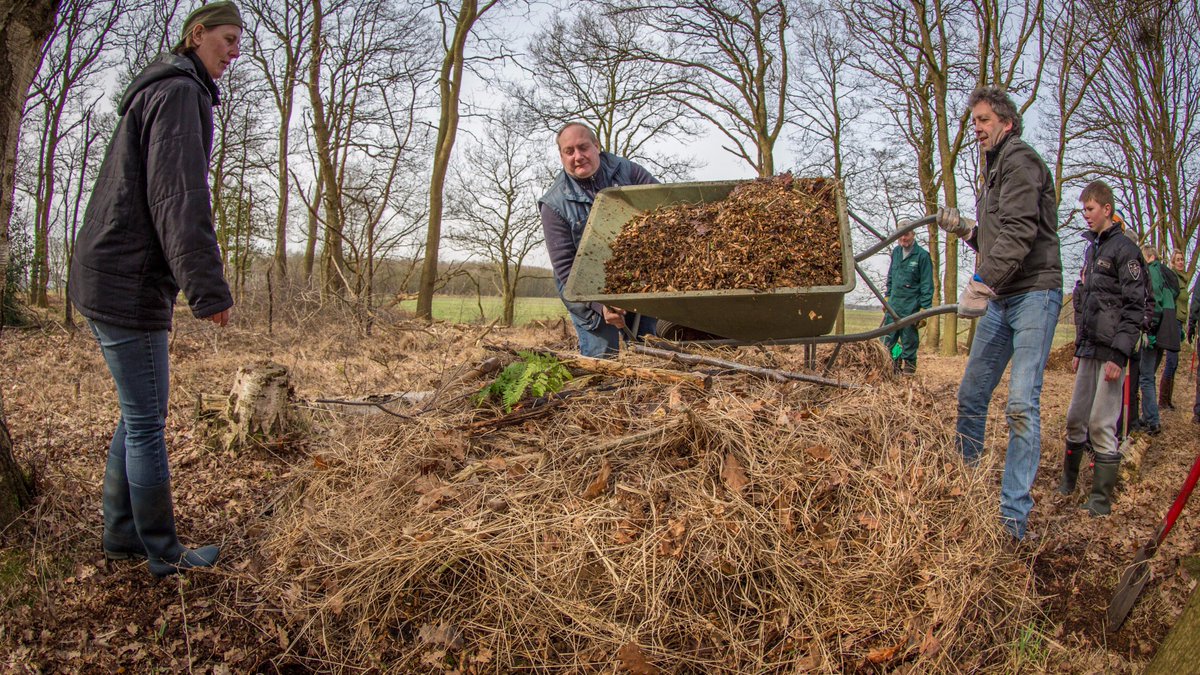 E_van_den_Ham's tweet photo. #Broeihoop voor #Ringslangen (#Natrix natrix)
Uitleg, oude eieren van 2016 en nieuwe hopen opbouwen
met @NLDOET
https://t.co/8VaejEY0rw https://t.co/nCB7ziNd71