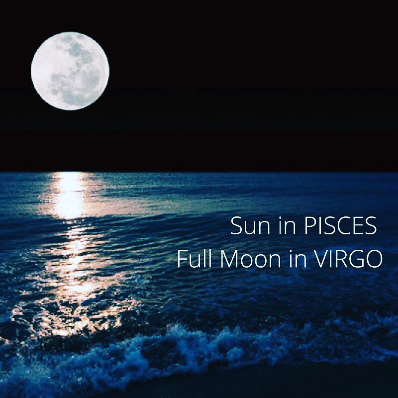 PureSynergieSkn's tweet photo. 🌕 Face mask on 🙌🏽 relaxing day done ✅ life is grand 💚#fullmoon #relax https://t.co/5aJbzFD9x1